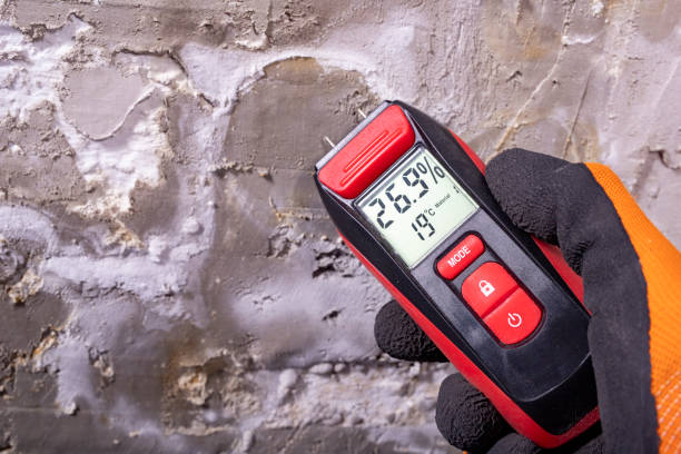 Best Certified Mold Removal  in Georgetown, CO