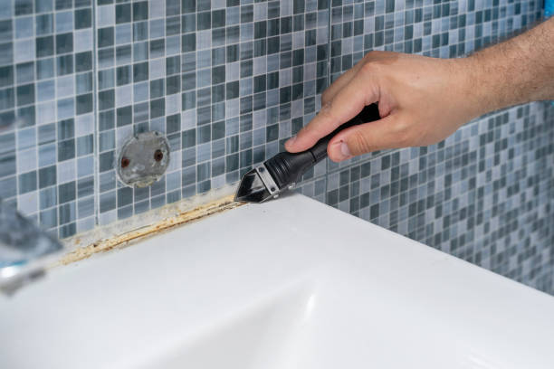 Best Commercial Mold Removal  in Georgetown, CO