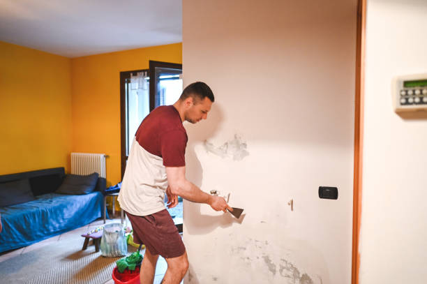 Best Local Mold Removal Service  in Georgetown, CO